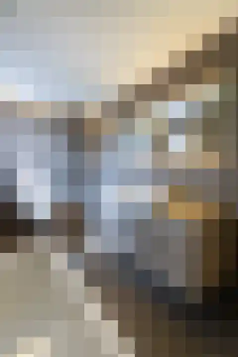 Breeven 19 Ell thumbnail 35