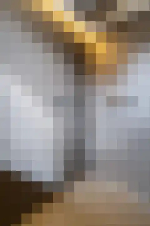 Breeven 19 Ell thumbnail 37