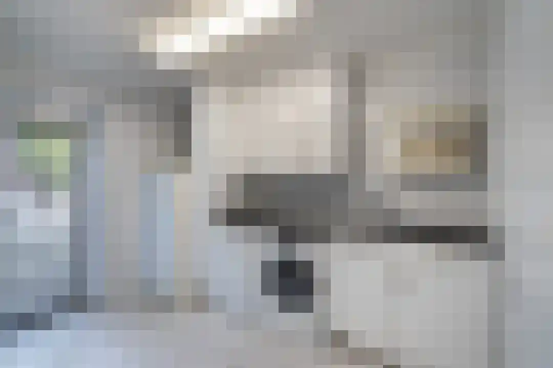 Breeven 19 Ell thumbnail 49