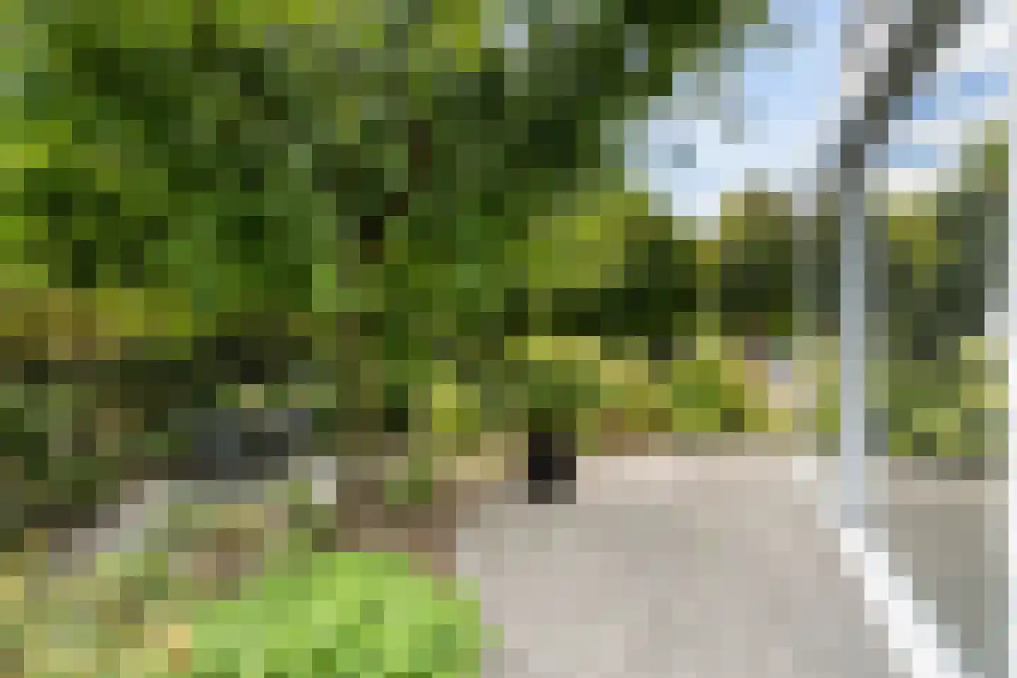 Breeven 19 Ell thumbnail 60