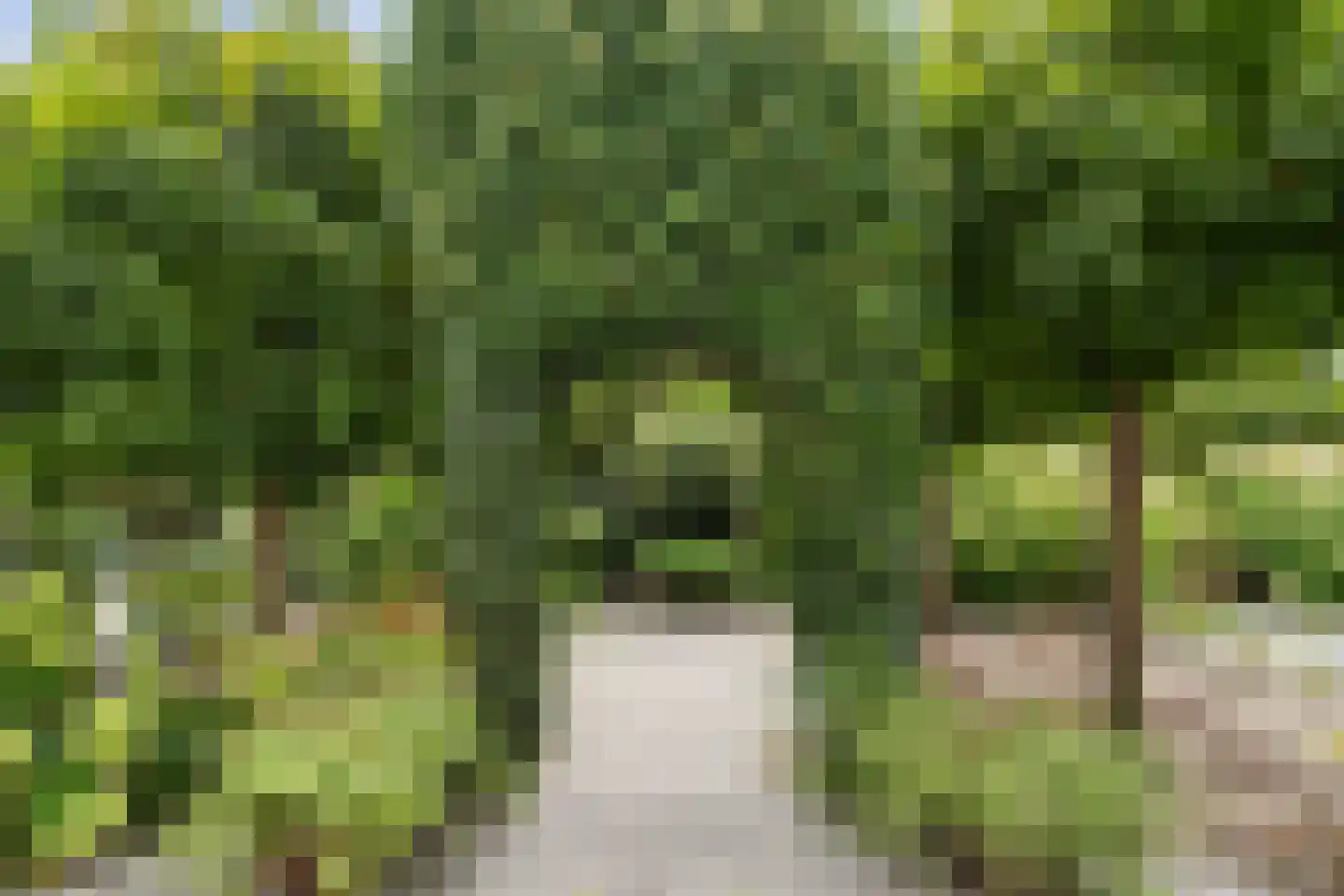 Breeven 19 Ell thumbnail 61