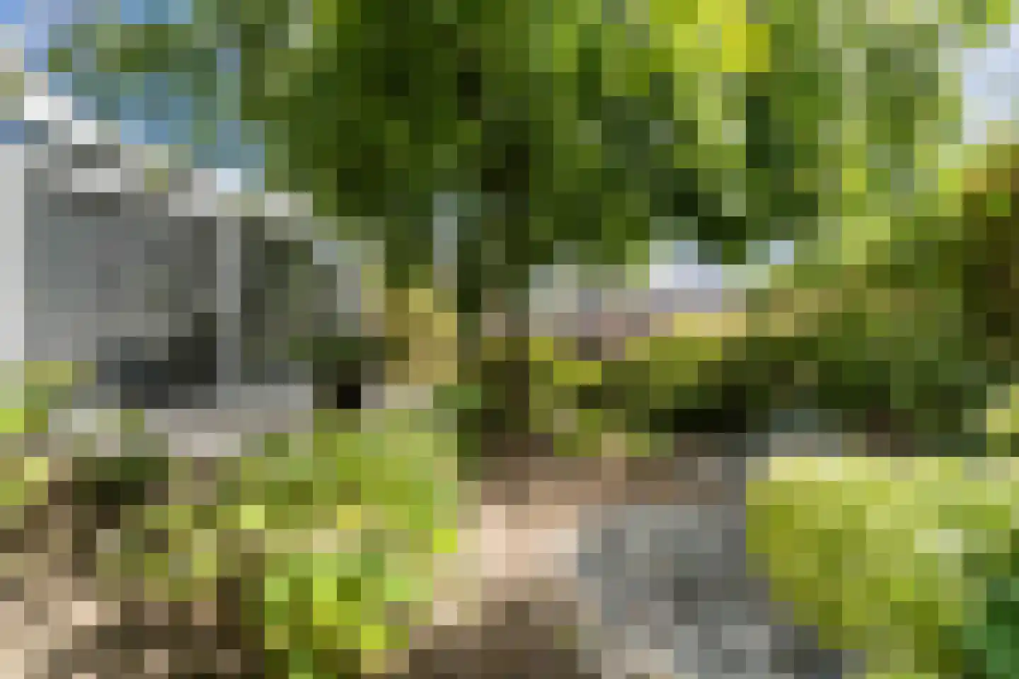 Breeven 19 Ell thumbnail 62