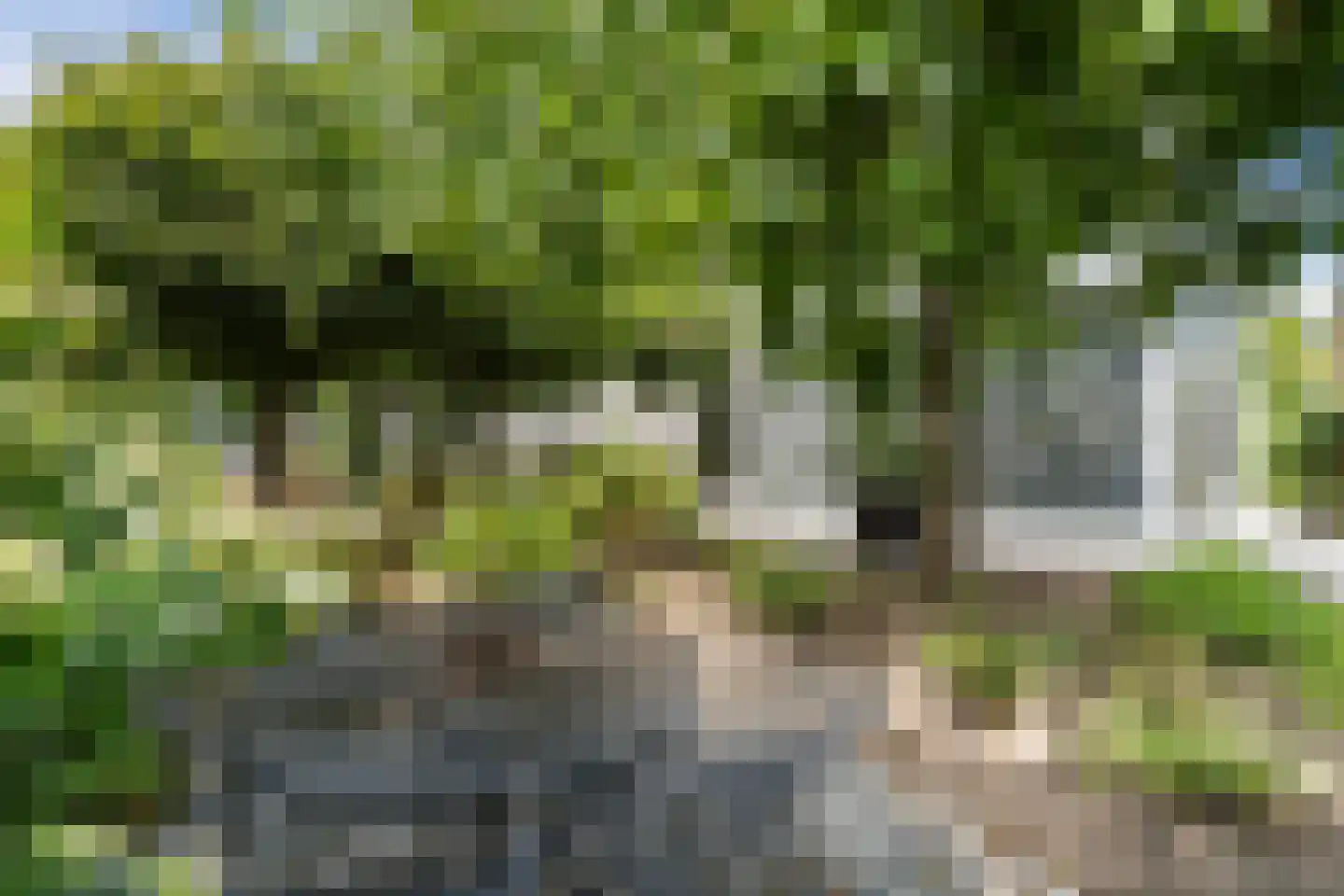 Breeven 19 Ell thumbnail 63