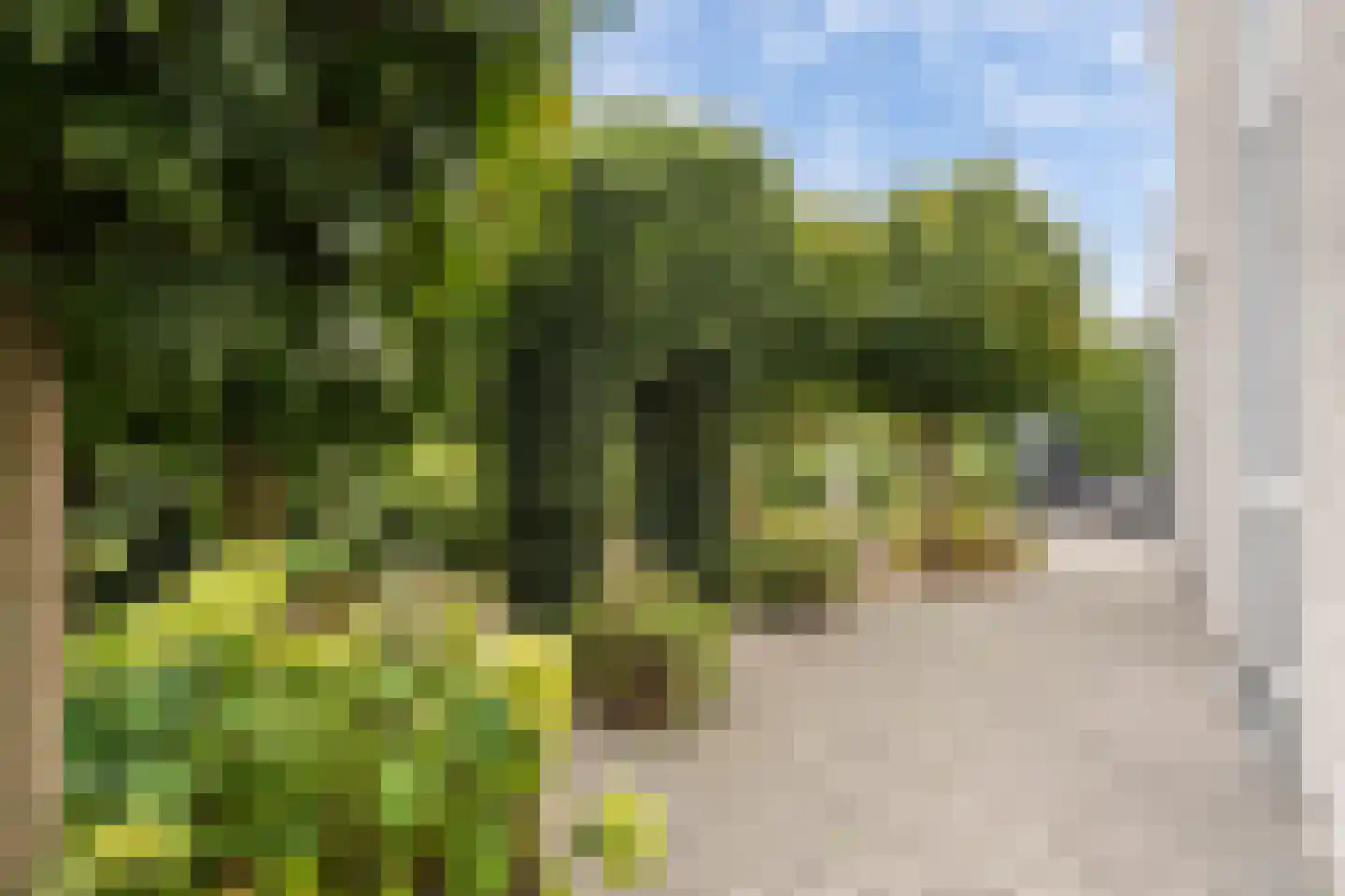 Breeven 19 Ell thumbnail 64