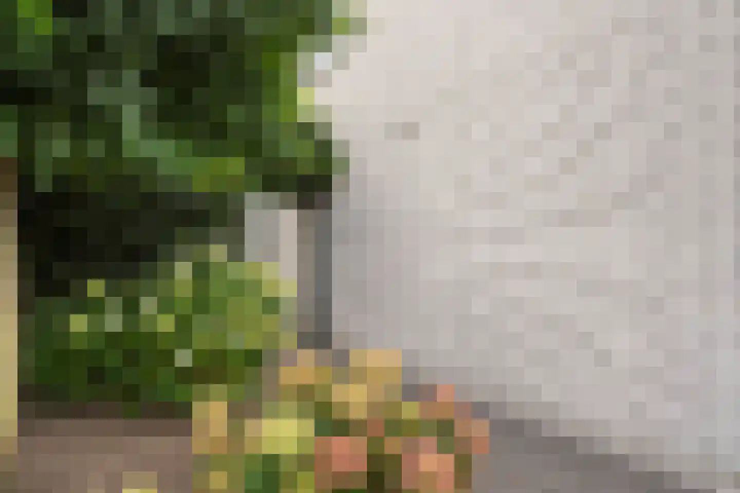 Breeven 19 Ell thumbnail 66