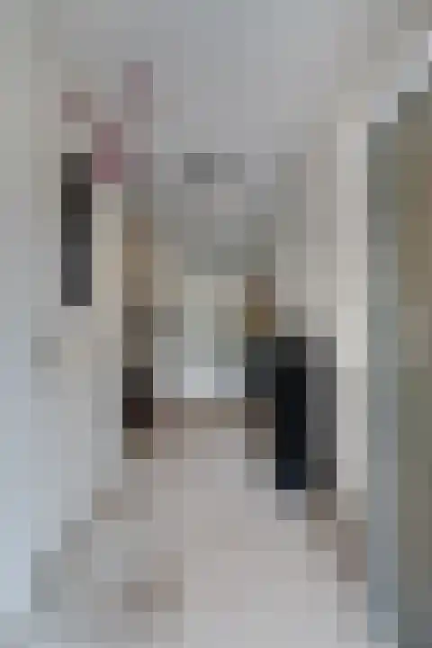 Breeven 19 Ell thumbnail 9