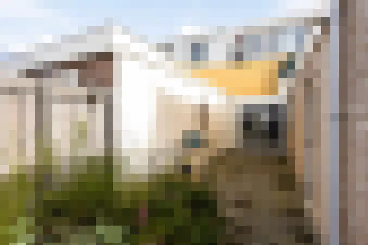 Breewaterstraat 36 Den Helder thumbnail 33