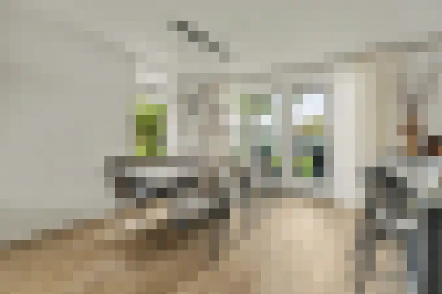 Breeweg 1 A Yerseke thumbnail 11