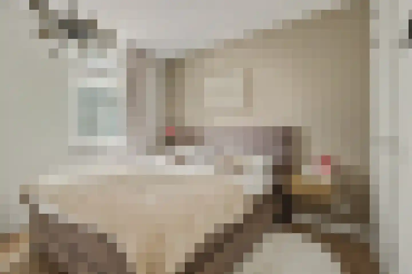 Breeweg 1 A Yerseke thumbnail 19
