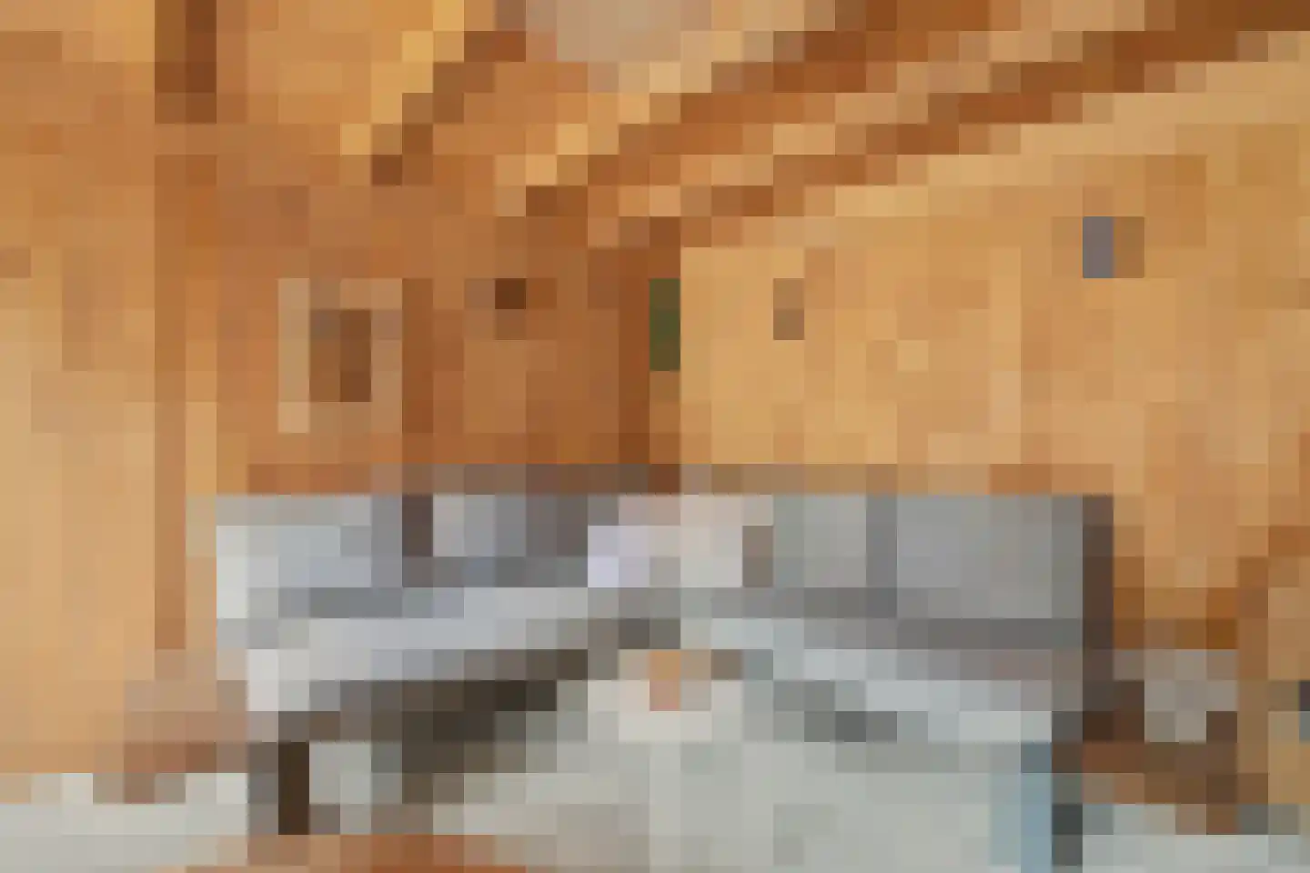 Breeweg 1 A Yerseke thumbnail 30