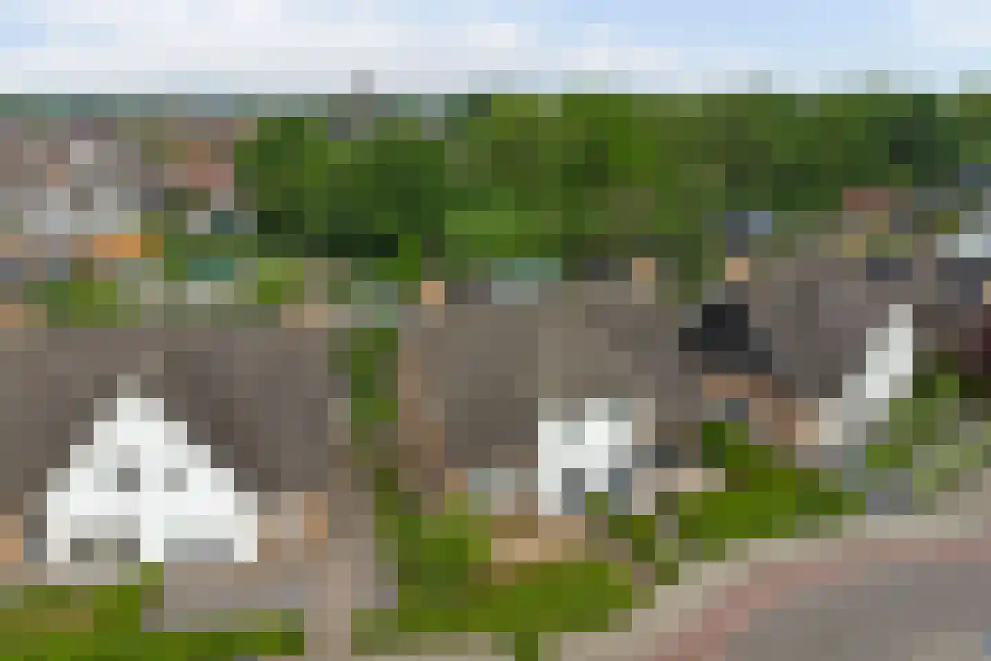 Breeweg 1 A Yerseke thumbnail 41
