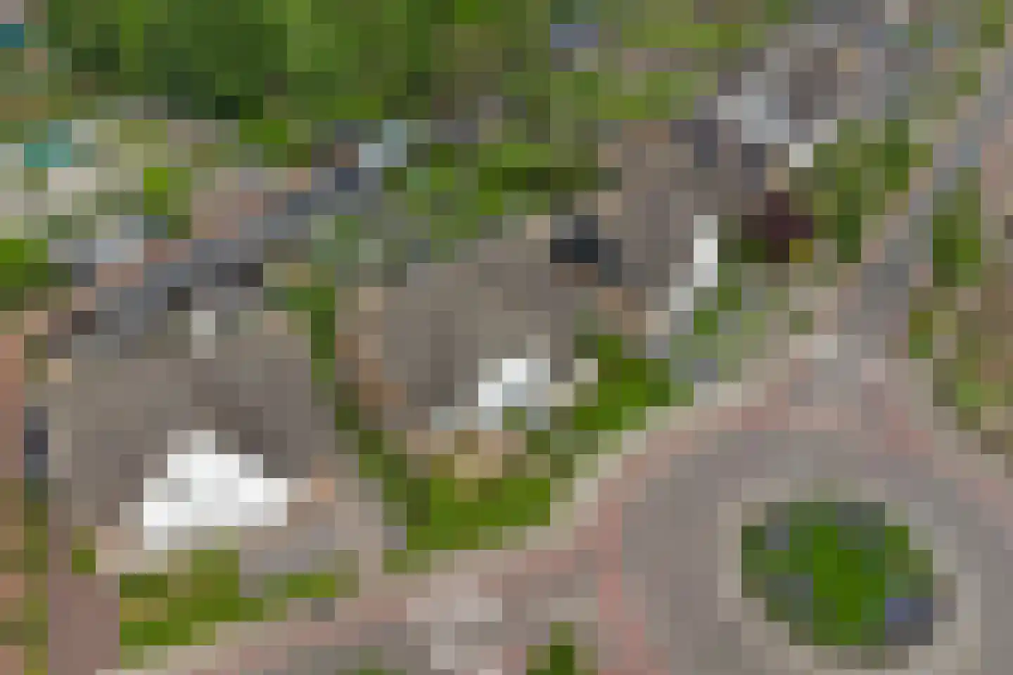 Breeweg 1 A Yerseke thumbnail 42