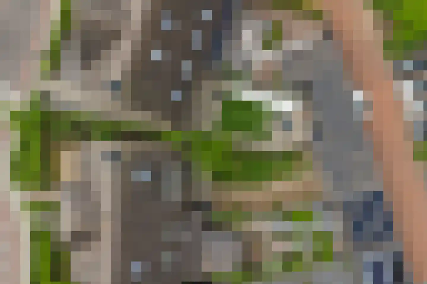 Breeweg 1 A Yerseke thumbnail 44