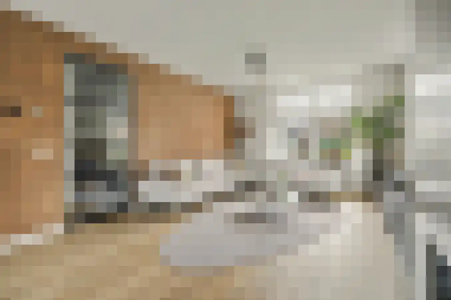 Breeweg 1 A Yerseke thumbnail 5