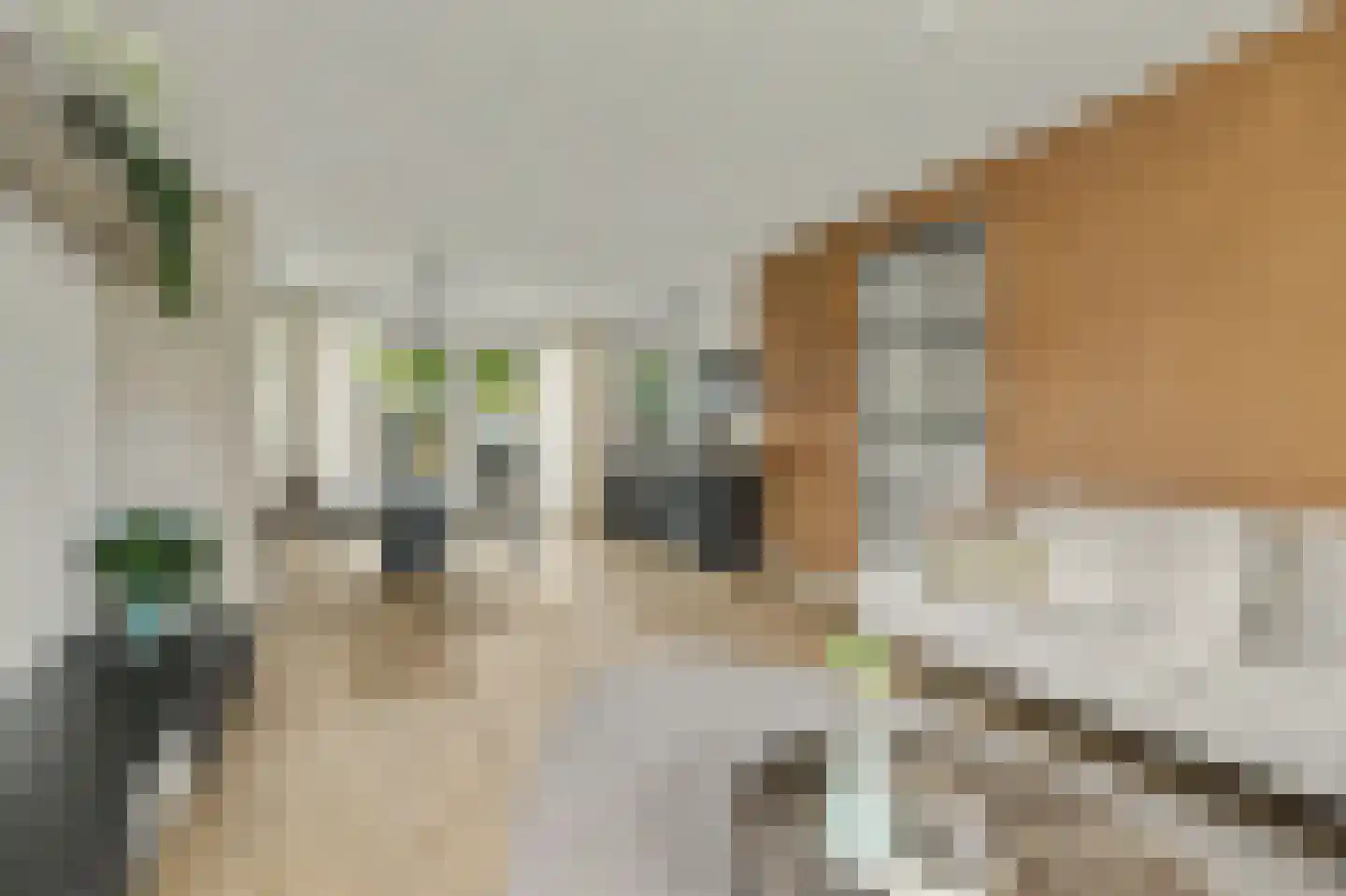 Breeweg 1 A Yerseke thumbnail 8