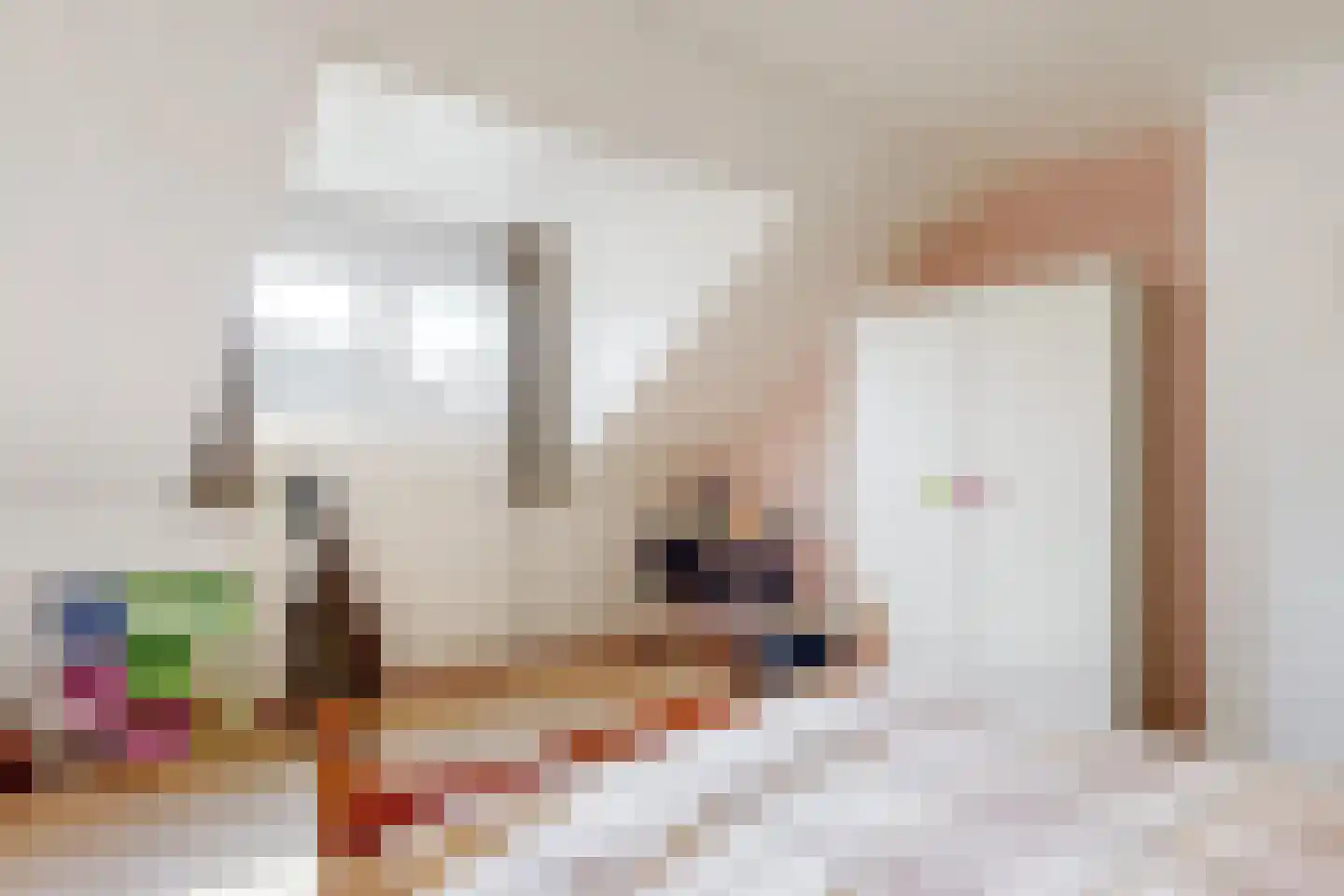 Breeweg 10 Schin op Geul thumbnail 16