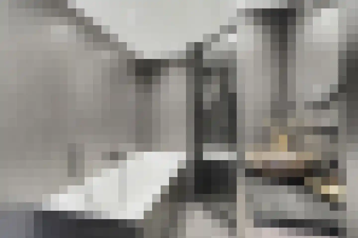 Breeweg 10 Yerseke thumbnail 18
