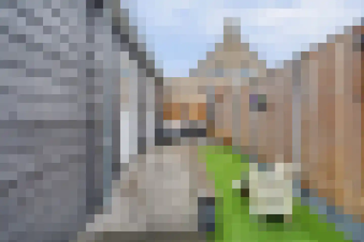Breeweg 10 Yerseke thumbnail 28