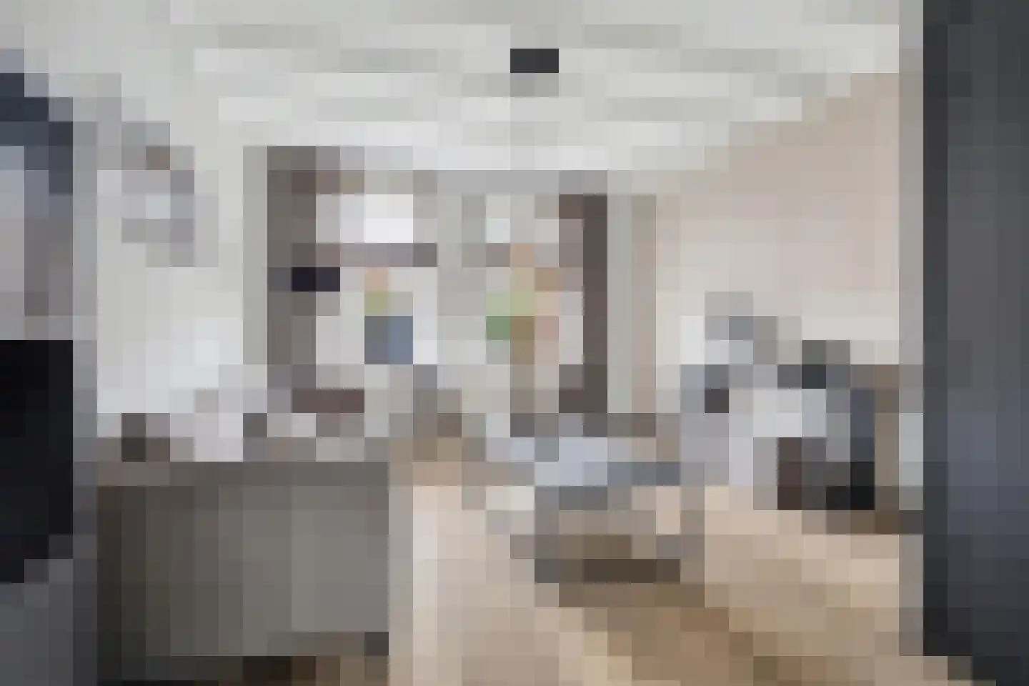 Breeweg 10 Yerseke thumbnail 5