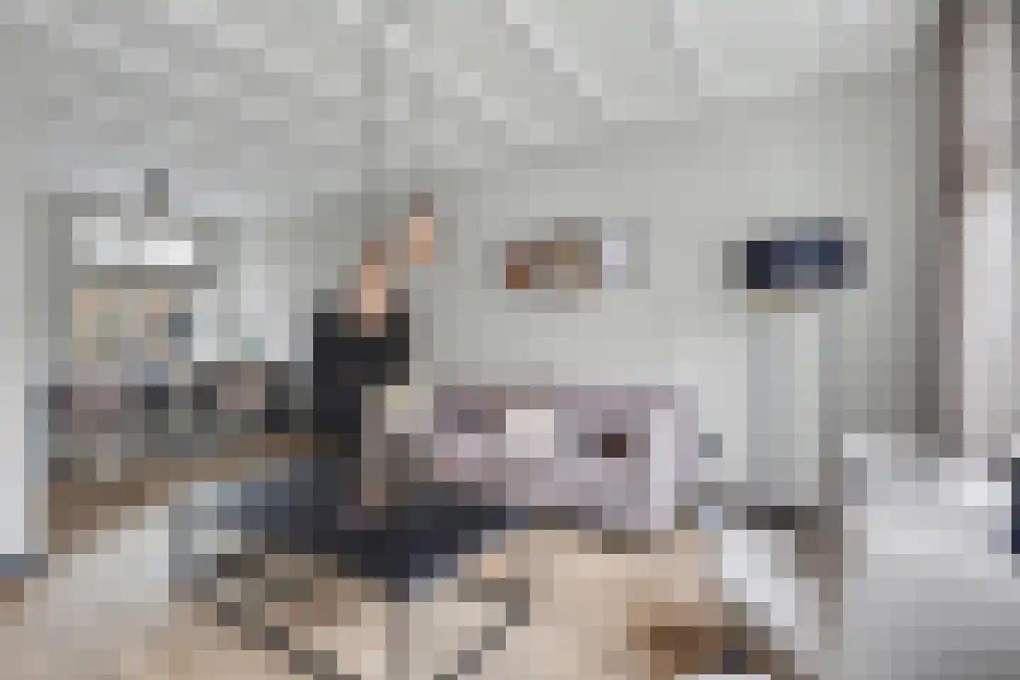 Breeweg 10 Yerseke thumbnail 7