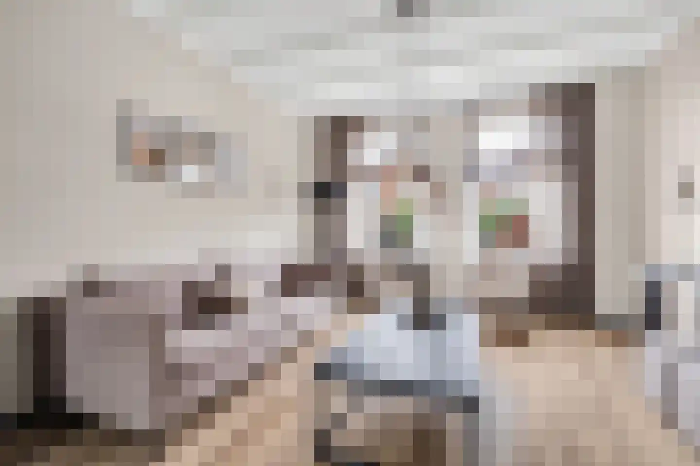 Breeweg 10 Yerseke thumbnail 8