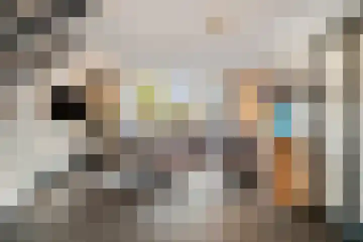 Breeweg 108 Yerseke thumbnail 10
