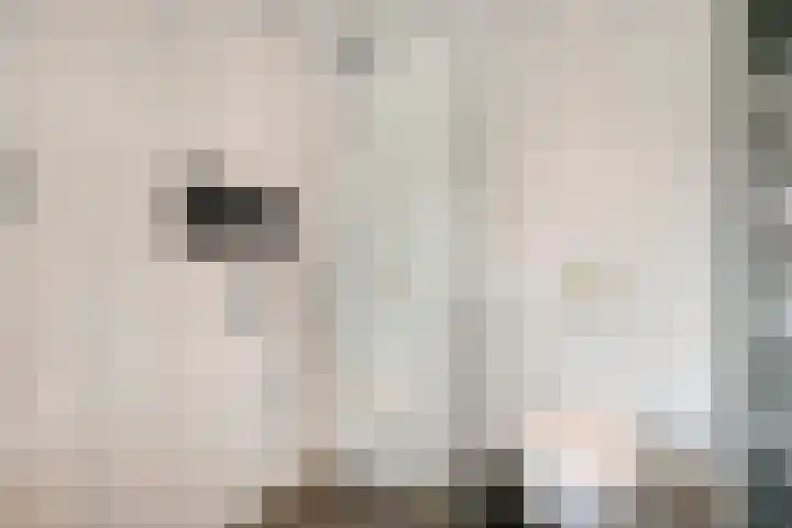 Breeweg 108 Yerseke thumbnail 40