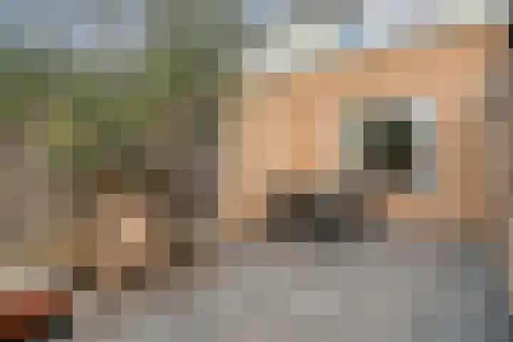 Breeweg 108 Yerseke thumbnail 47