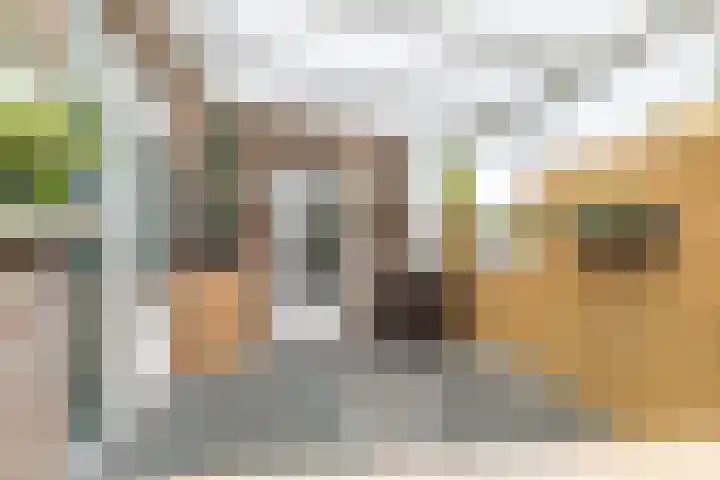 Breeweg 11 A Schin op Geul thumbnail 10