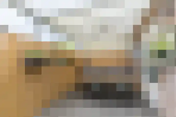 Breeweg 11 A Schin op Geul thumbnail 9