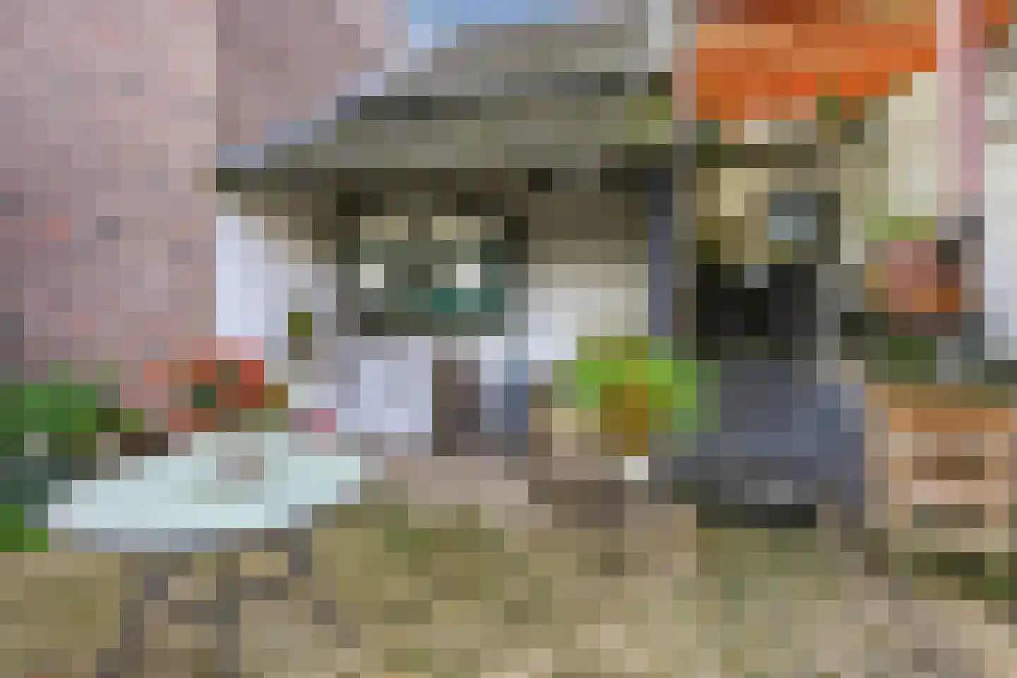 Breeweg 11 Schin op Geul thumbnail 37