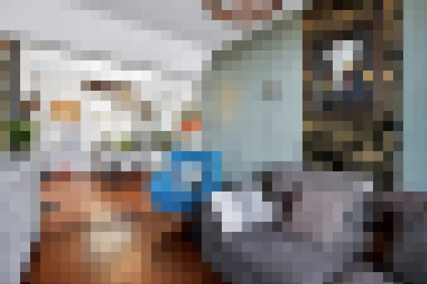 Breeweg 11 Schin op Geul thumbnail 9