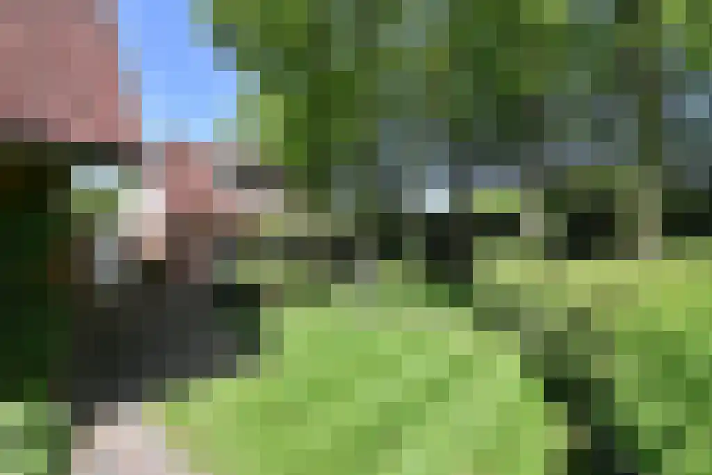 Breeweg 13 Laren thumbnail 19
