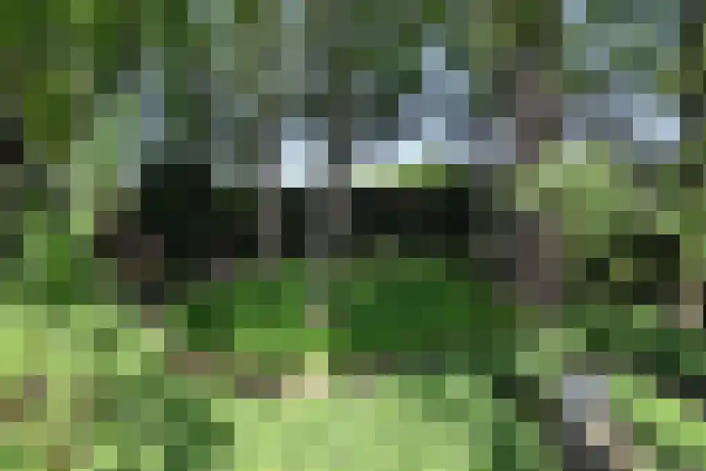 Breeweg 13 Laren thumbnail 20