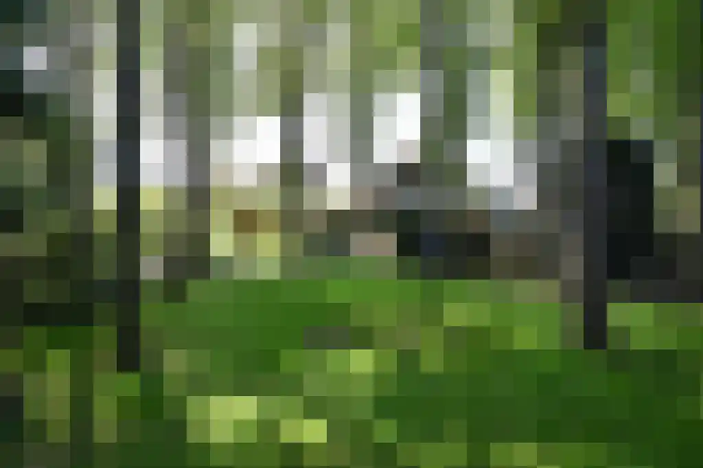 Breeweg 13 Laren thumbnail 21