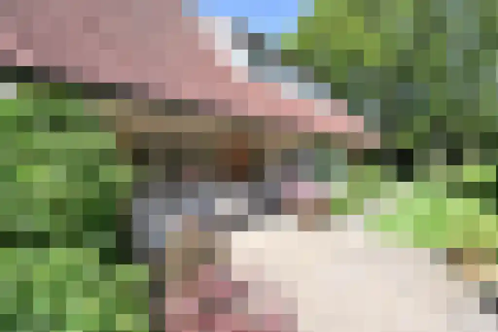 Breeweg 13 Laren thumbnail 4