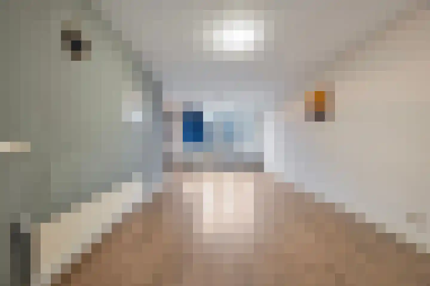 Breeweg 14 B Rotterdam thumbnail 11
