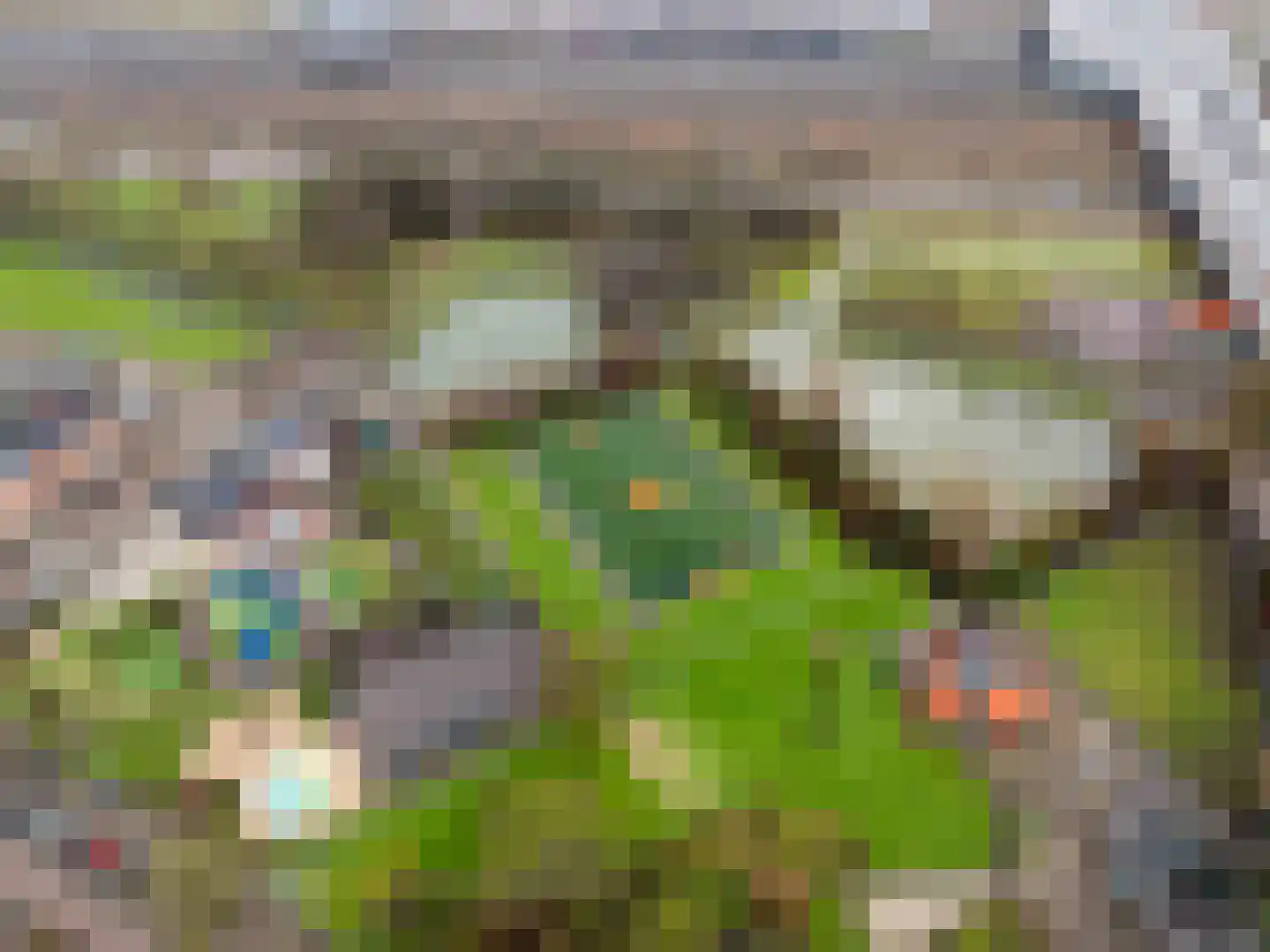Breeweg 14 B Rotterdam thumbnail 34