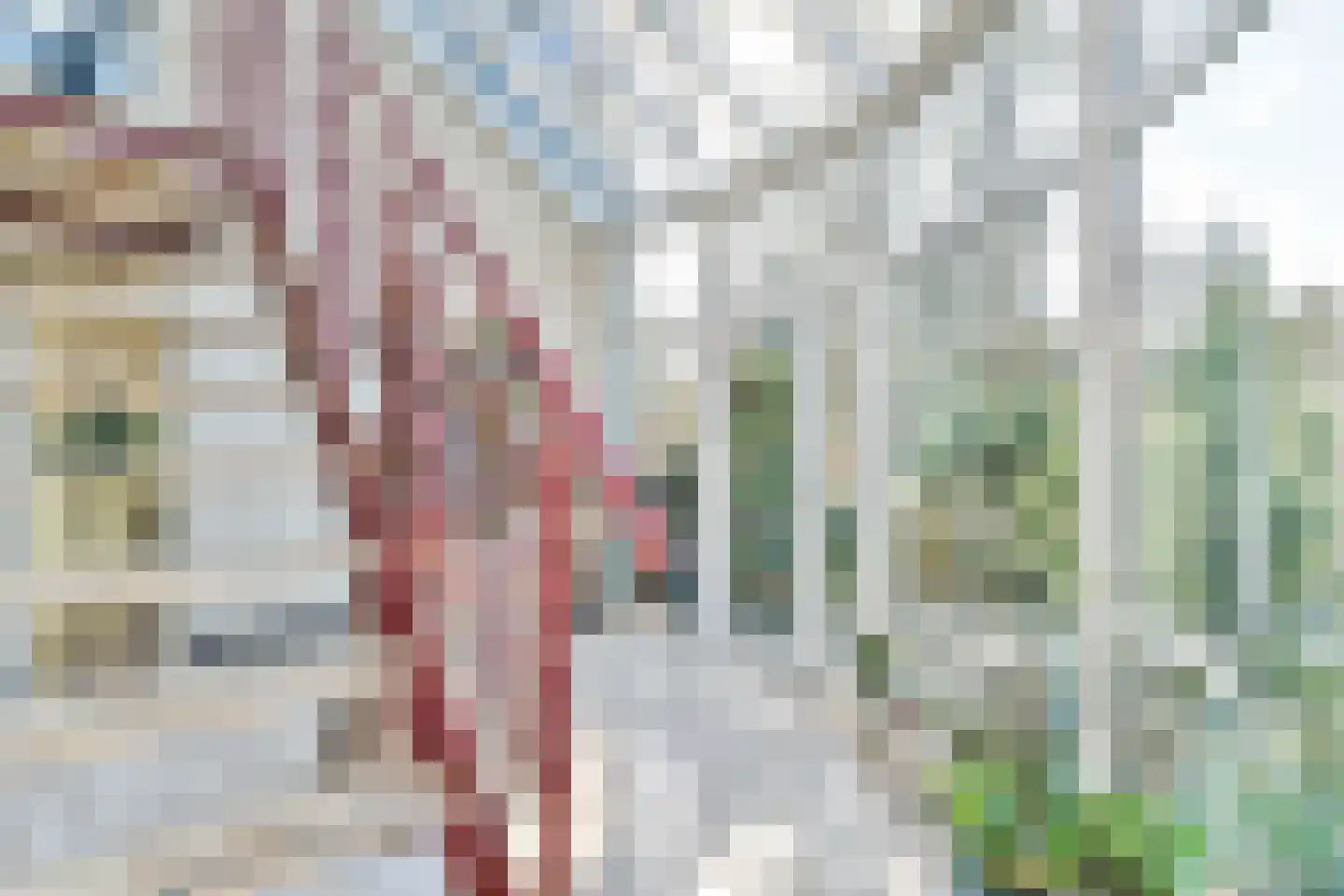 Breeweg 15 Laren thumbnail 16