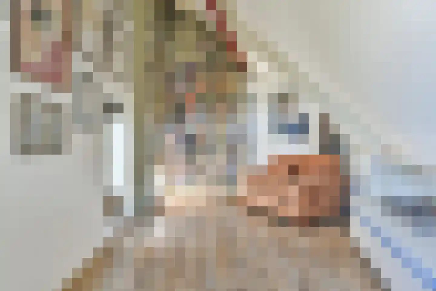 Breeweg 15 Laren thumbnail 29