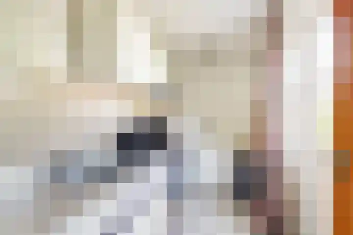 Breeweg 15 Yerseke thumbnail 16