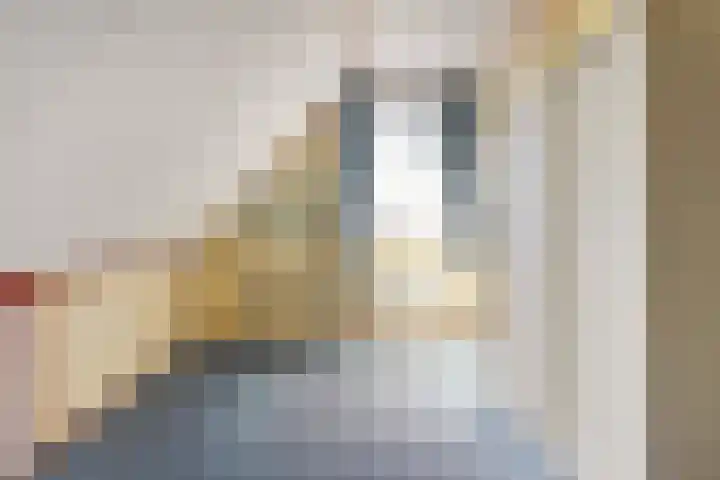 Breeweg 15 Yerseke thumbnail 20