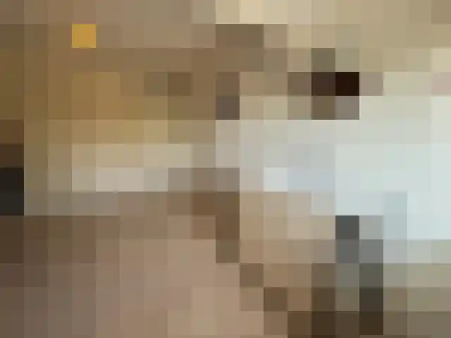Breeweg 55 Middelburg thumbnail 15
