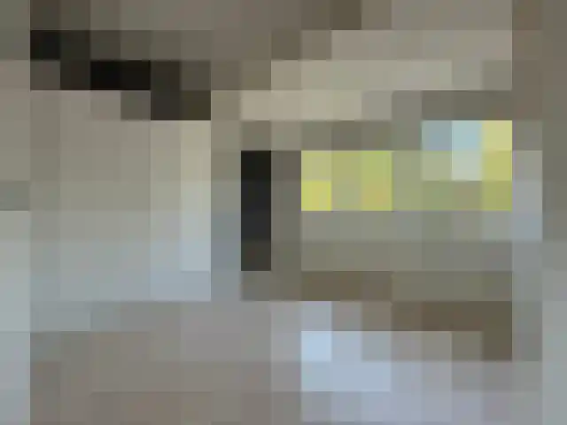 Breeweg 55 Middelburg thumbnail 18