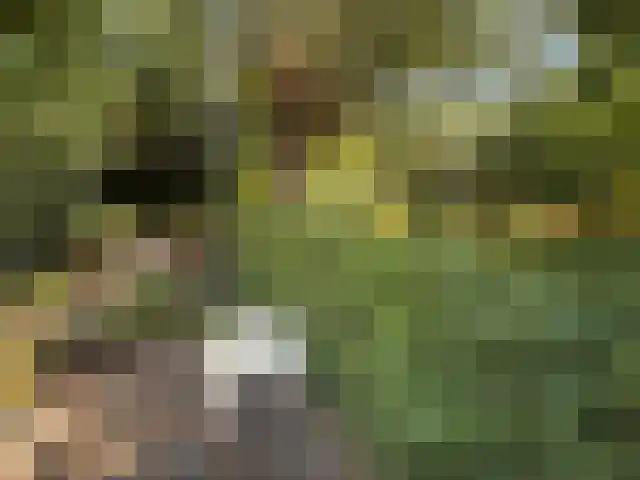 Breeweg 55 Middelburg thumbnail 5