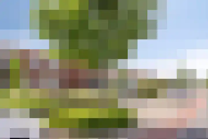 Breeweg 56 Yerseke thumbnail 28