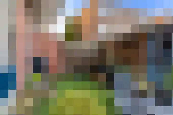 Breeweg 67 B Rotterdam thumbnail 14