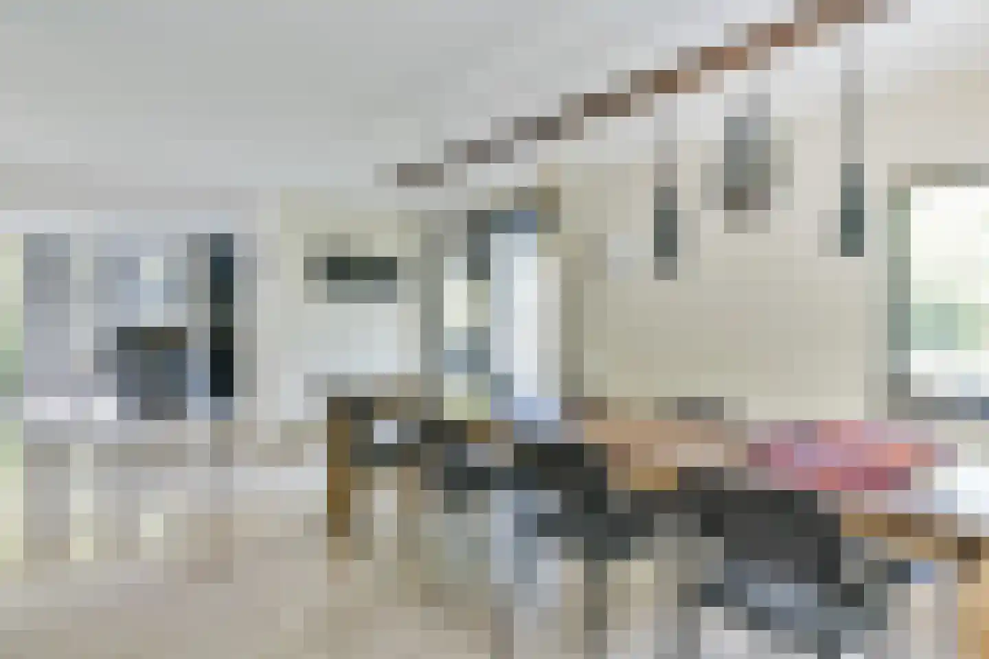 Breeweg 7 Laren thumbnail 11