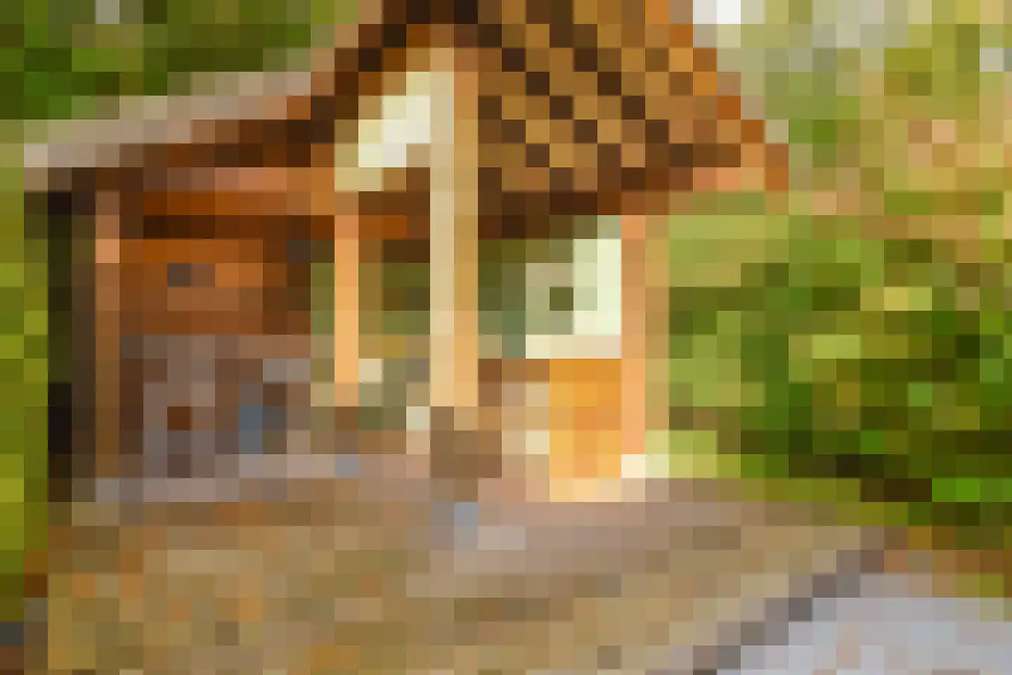 Breeweg 7 Laren thumbnail 19