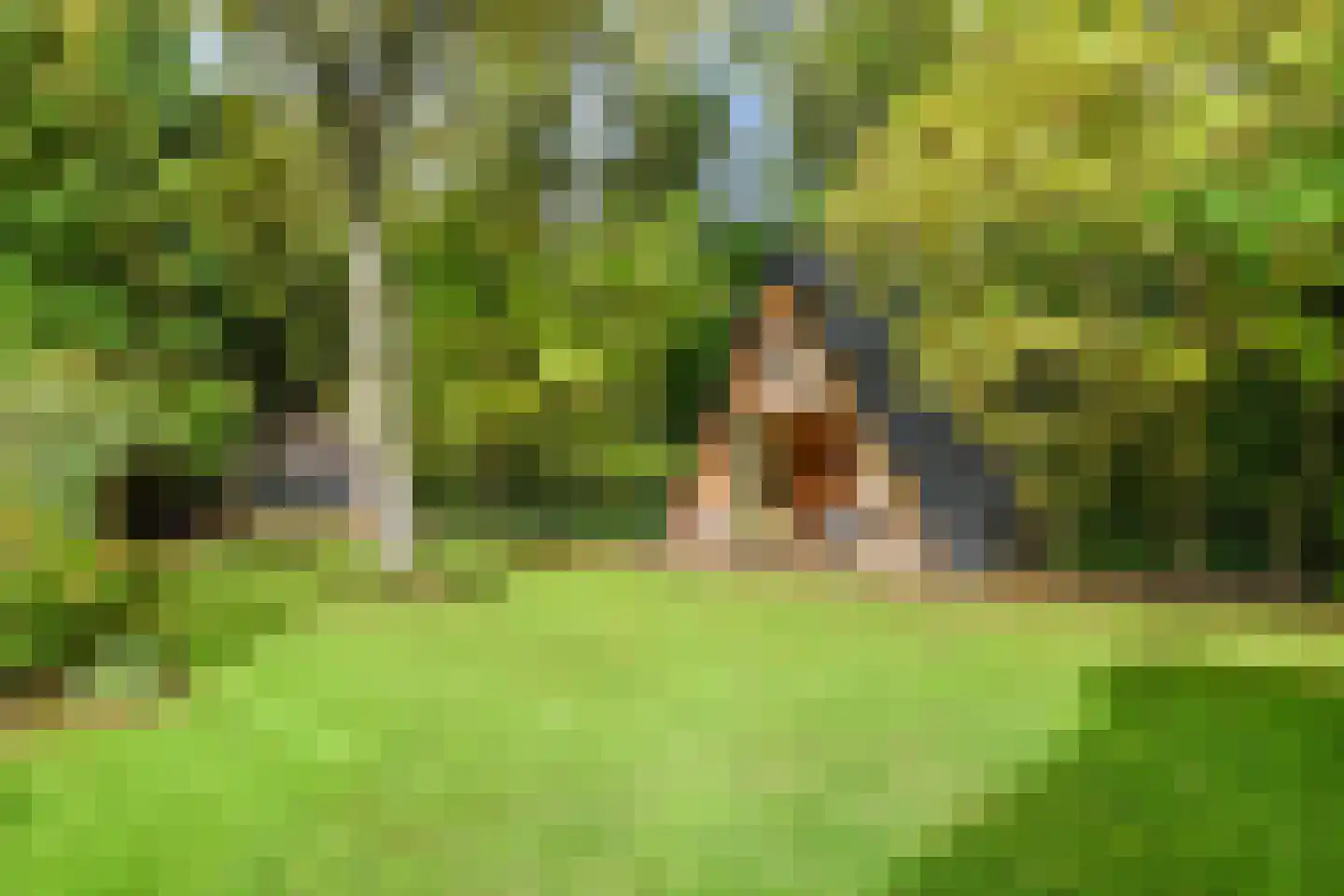 Breeweg 7 Laren thumbnail 21